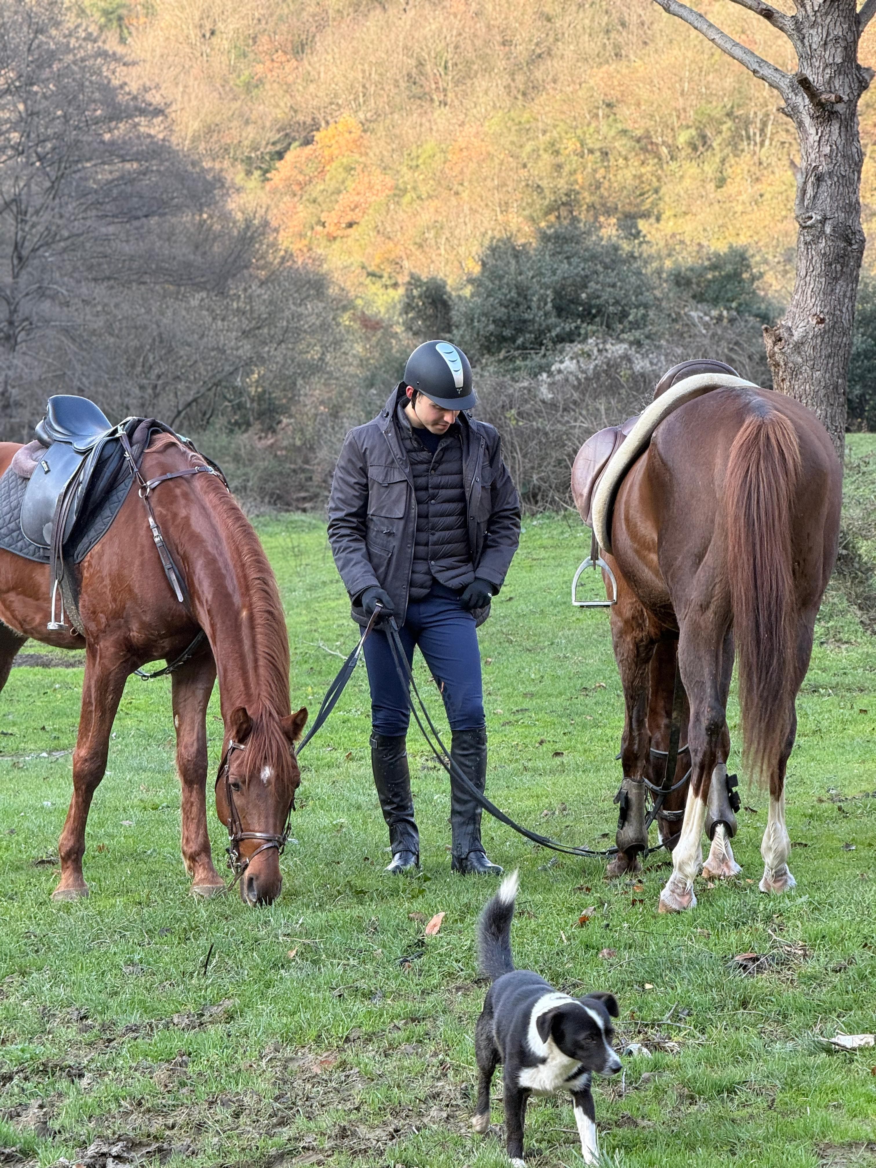 For Us Turks, the Horse…